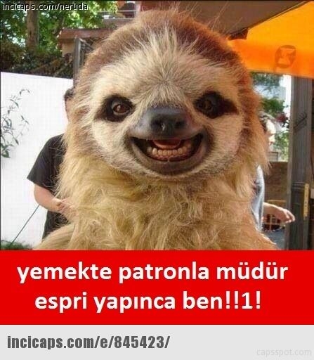 En iyi capsler galerisi resim 36