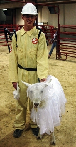 Bu hayvanlar ne kafası yaşıyor galerisi resim 10