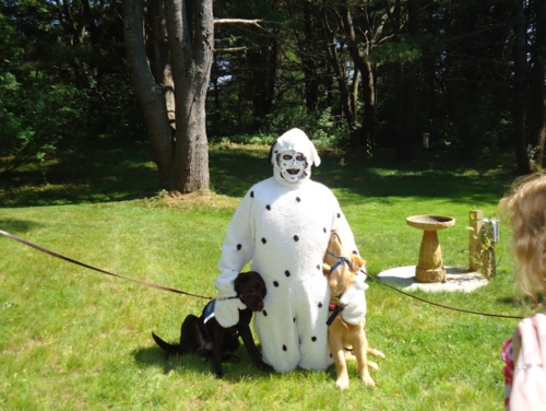 Bu hayvanlar ne kafası yaşıyor galerisi resim 20