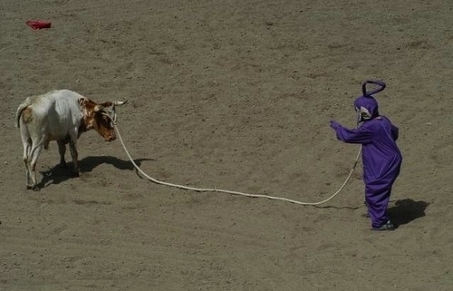 Bu hayvanlar ne kafası yaşıyor galerisi resim 5