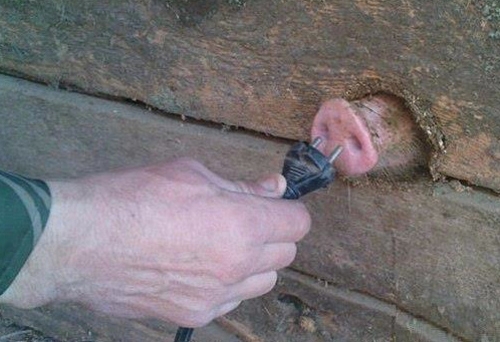 Bu hayvanlar ne kafası yaşıyor galerisi resim 8