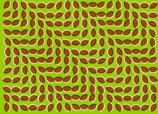 30 saniye bakınca neler olacak? galerisi resim 12