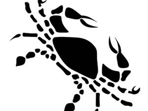 Kritik bir hafta-22 Haziran 2014