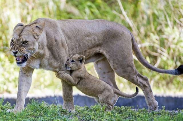 Yürek burkan veda galerisi resim 1