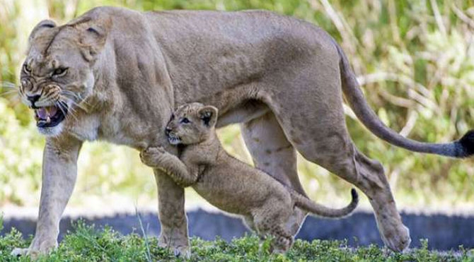 Yürek burkan veda galerisi resim 4