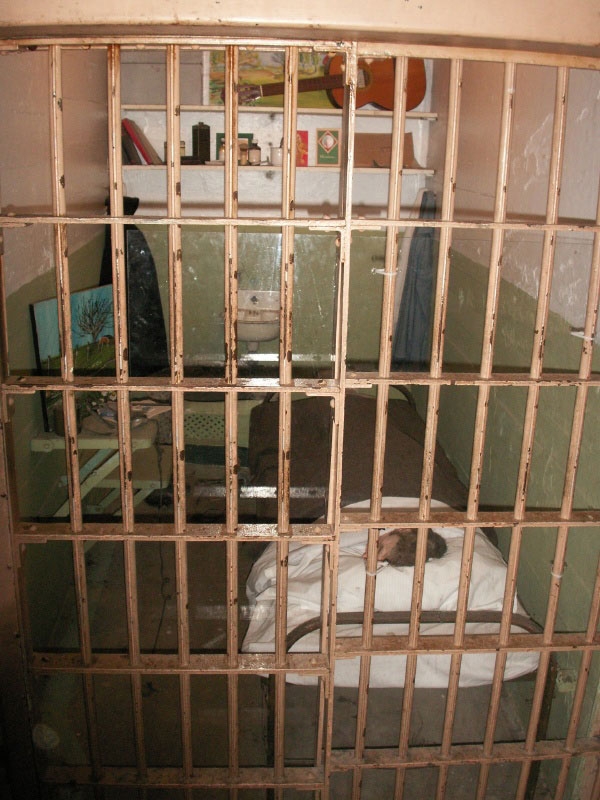 Burası kaçmanın mümkün olmadığı yer! galerisi resim 19