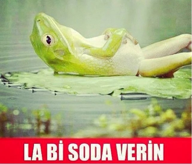 Gülmekten kırıp geçiren ramazan capsleri galerisi resim 20