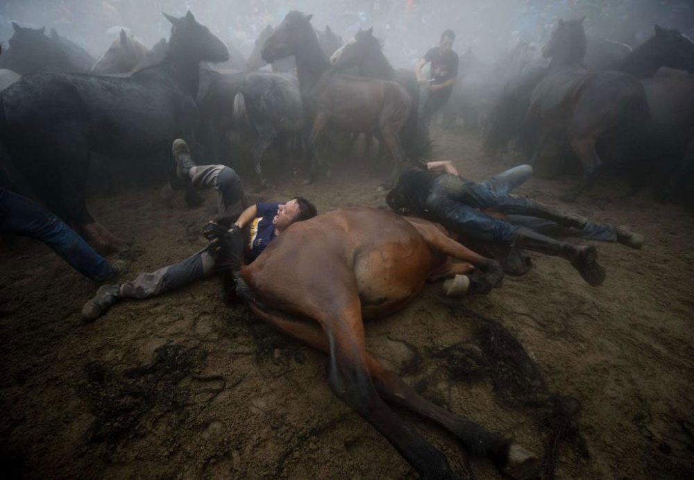 Güçlü olan kazandı! galerisi resim 1
