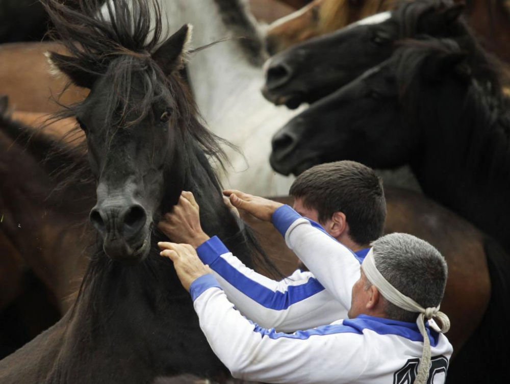 Güçlü olan kazandı! galerisi resim 12
