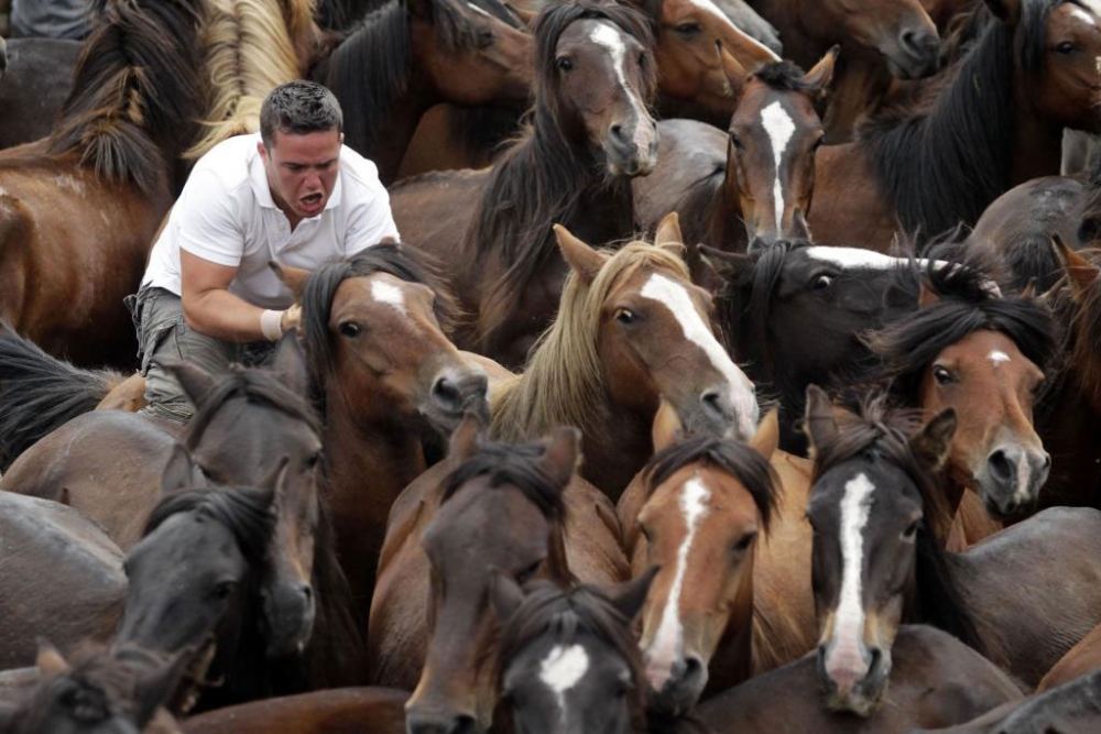 Güçlü olan kazandı! galerisi resim 13