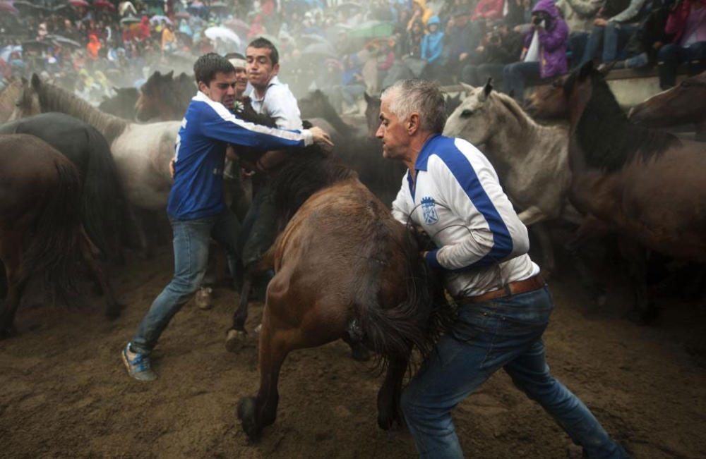 Güçlü olan kazandı! galerisi resim 16