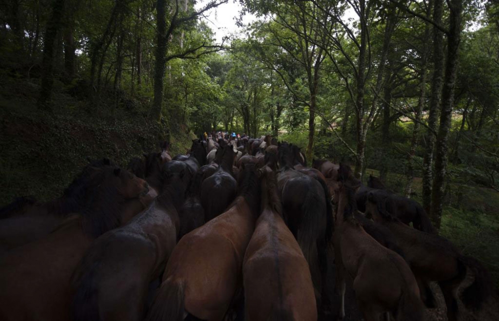 Güçlü olan kazandı! galerisi resim 18