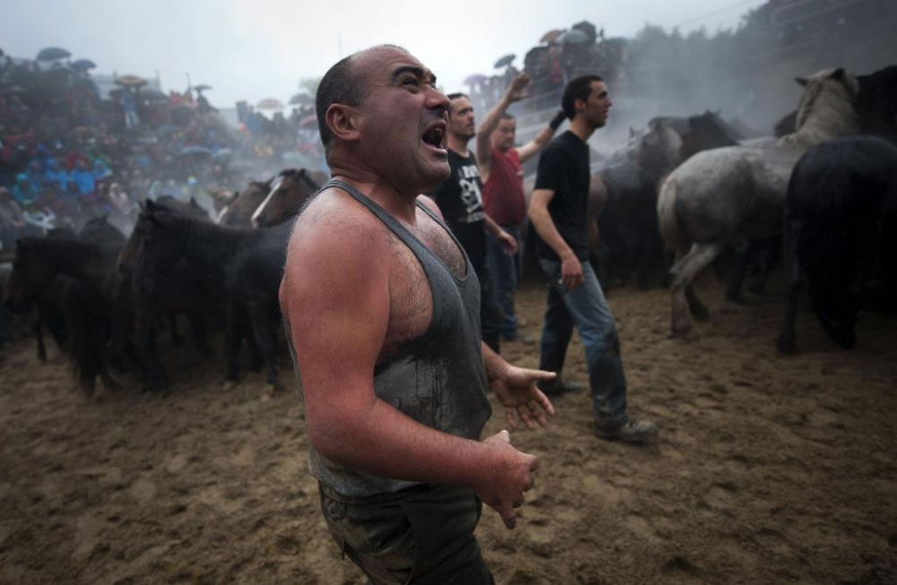 Güçlü olan kazandı! galerisi resim 4