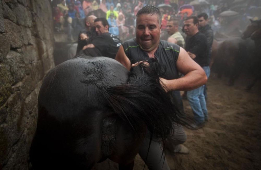 Güçlü olan kazandı! galerisi resim 6