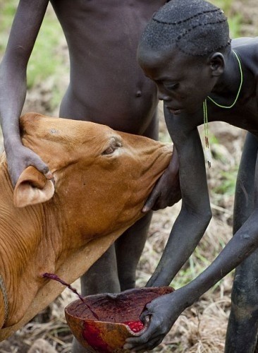 İşte tüyler ürperten gelenek! galerisi resim 10
