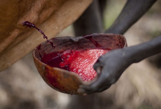 İşte tüyler ürperten gelenek! galerisi resim 11
