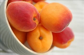 Her derdin devası kayısı galerisi resim 14