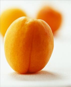 Her derdin devası kayısı galerisi resim 6