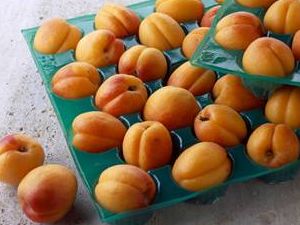 Her derdin devası kayısı