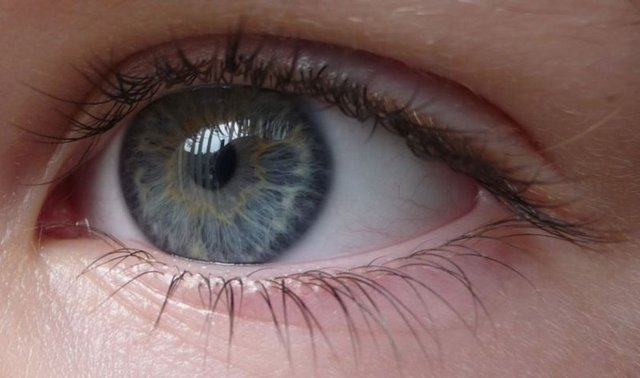 Meyve ve organların şaşırtan benzerliği galerisi resim 2