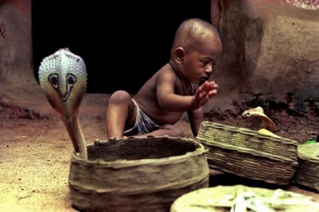 En çok tıklanan fotoğraflar galerisi resim 13