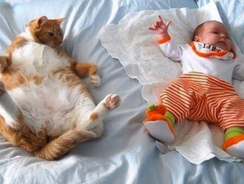 En çok tıklanan fotoğraflar galerisi resim 14