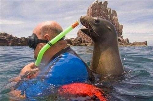 En çok tıklanan fotoğraflar galerisi resim 4