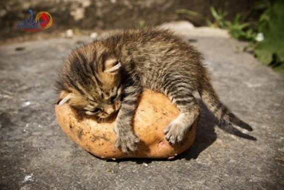 En çok tıklanan fotoğraflar galerisi resim 8