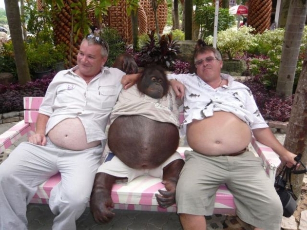 En çok tıklanan fotoğraflar galerisi resim 9