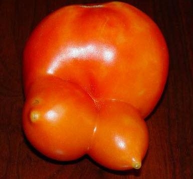 Şekli bozuk sebzeler galerisi resim 1