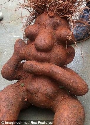 Şekli bozuk sebzeler galerisi resim 16