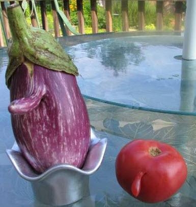 Şekli bozuk sebzeler galerisi resim 2