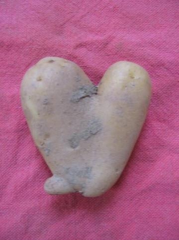 Şekli bozuk sebzeler galerisi resim 4