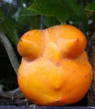 Şekli bozuk sebzeler galerisi resim 6