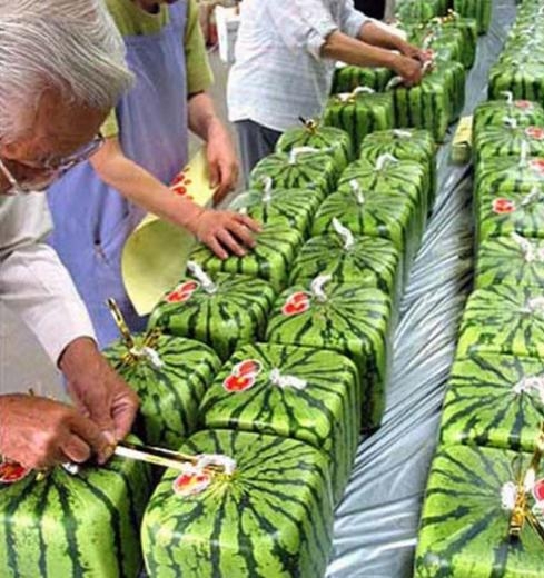 Şekli bozuk sebzeler galerisi resim 7