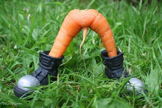 Şekli bozuk sebzeler galerisi resim 8