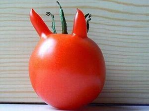 Şekli bozuk sebzeler