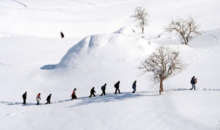 Dünyaca ünlü ödüllü fotoğraflar galerisi resim 15