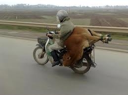 Yurdum insanı galerisi resim 23