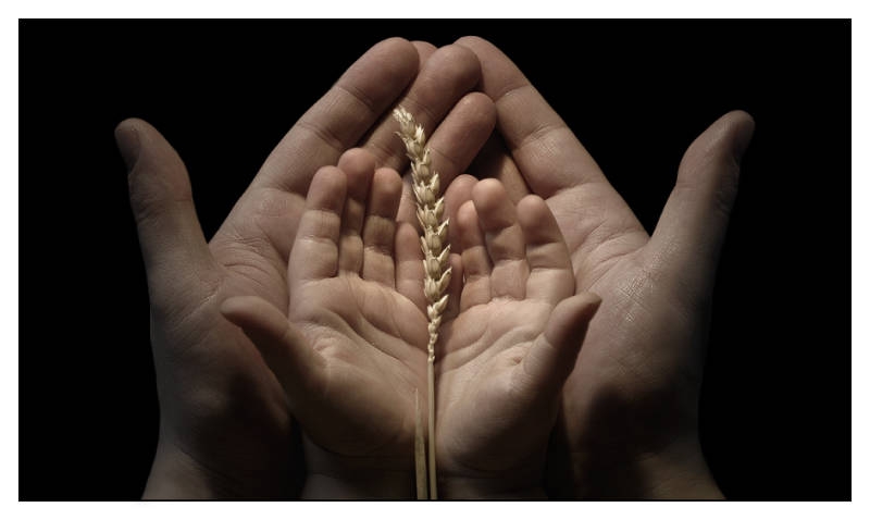 Kur'an-ı Kerim'de İsrailoğulları ile ilgili 41 ayet galerisi resim 25