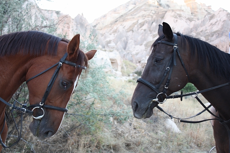 Rüya şehir Kapadokya galerisi resim 1