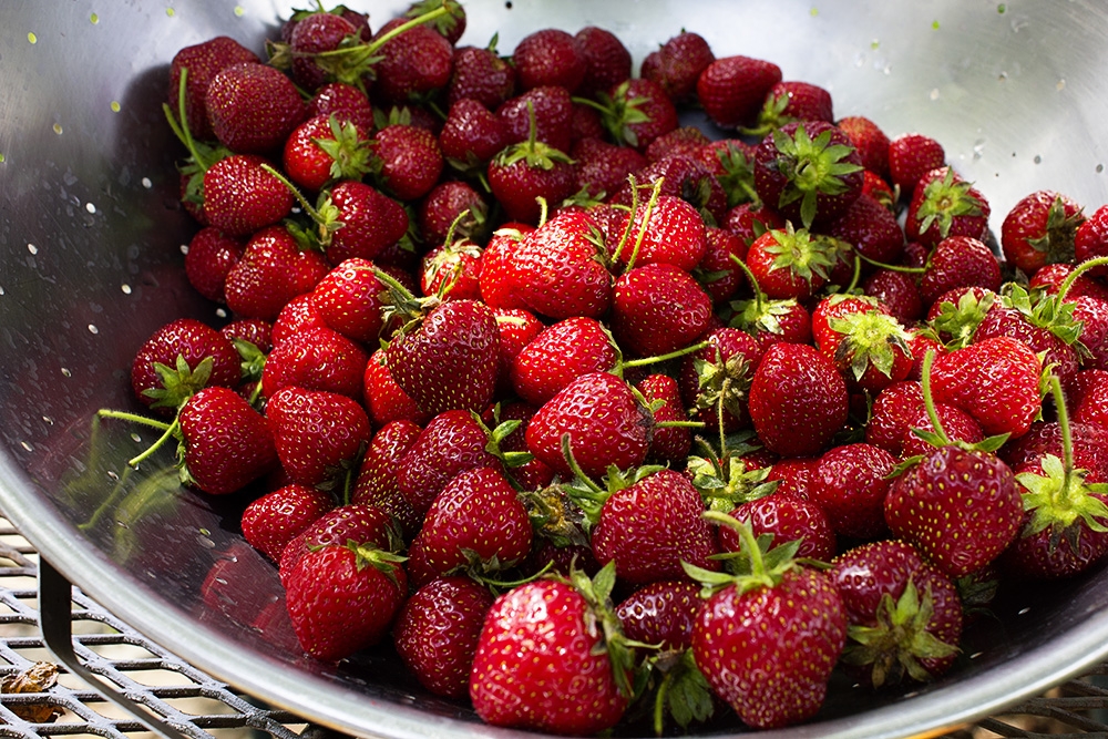 Çileğin faydaları nelerdir? galerisi resim 9