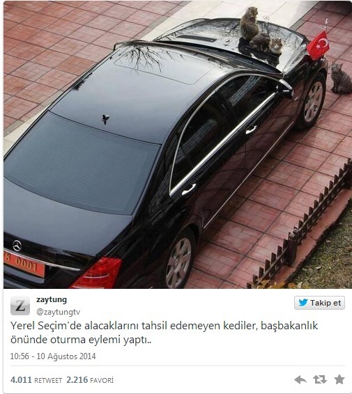 Cumhurbaşkanlığı seçim capsleri galerisi resim 20