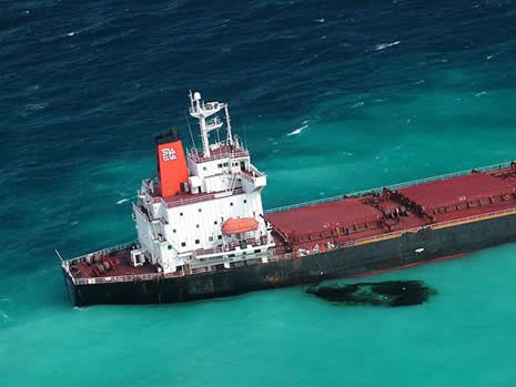 Büyük Mercan Resifi tehdit altında galerisi resim 2