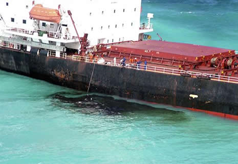 Büyük Mercan Resifi tehdit altında  galerisi resim 4