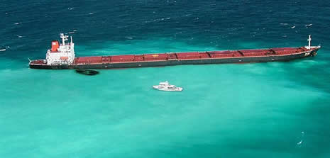 Büyük Mercan Resifi tehdit altında 