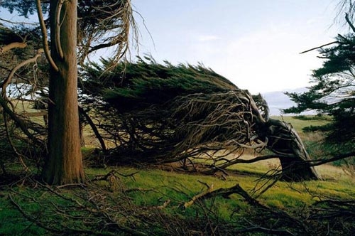 25 şaşırtıcı insan fobisi galerisi resim 10