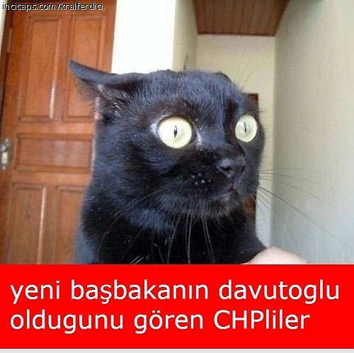 Davutoğlu'nun güldüren capsleri galerisi resim 22