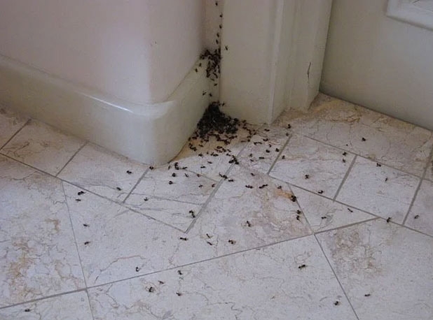 Evinizde bulunan bu malzemelerle pratik çözümler... galerisi resim 18