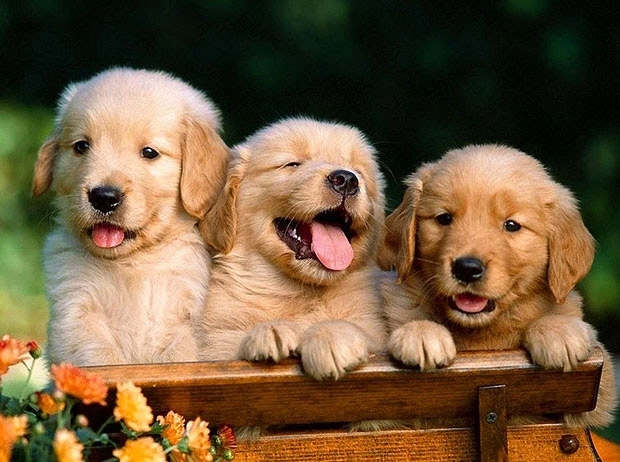 Evinizde bulunan bu malzemelerle pratik çözümler... galerisi resim 20